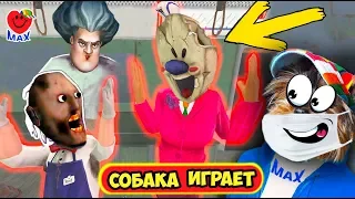 МОРОЖЕНЩИК ОТКРЫЛ ЛИЦО! КОШМАР ГРЕННИ! СОБАКА ИГРАЕТ! (ICE SCREAM 4, GRANNY, MISS T) ВАЛЕРИШКА МАХ