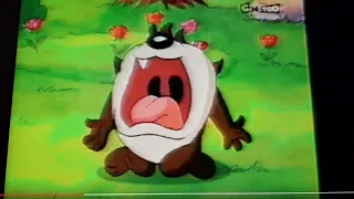 boing animadz - promo baby looney tunes (2006-2054)