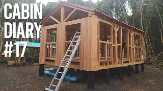 Off Grid Cabin #17 | Building the Walls and Windows Frames (Part 1)