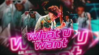 Lil Xxel - What U Want (feat. Tyga & Coi Leray) (CLEAN)