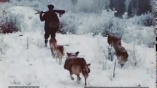 A Dog's Life in the North Woods (1948)