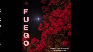 Ozuna, Amarion, J Balvin, Afrobeat Type Beat ("fuego")