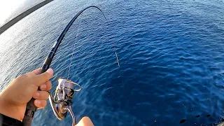 この時期はバカでかい石鯛が釣れるので狙ってみたら… 【告知あり】