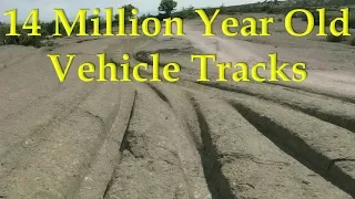 Alexander Koltypin "14 Million Year Old Vehicle Tracks"