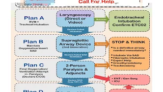 Niagara Health Difficult Airway Module 3