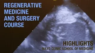 Regenerative Medicine and Surgery Course Highlights