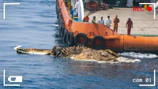 INCREDIBLE AND UNBELIEVABLE Ocean Moments CAUGHT ON CAMERA!