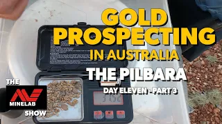 Detecting for Gold in the Pilbara - Western Australia