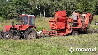 ВТЗ т30а80(45-ка) і картопляний комбайн GRIMME EUROPA STANDETTE