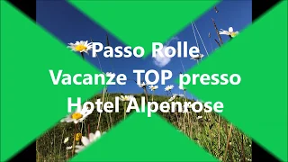 Vacanza a Passo Rolle presso Hotel Alpenrose