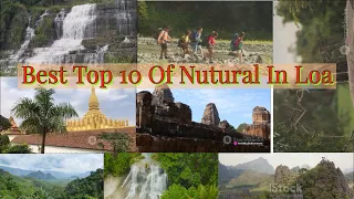 Best Top 10 Of Nutural In Loas