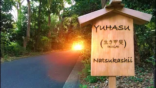 Yuhasu - Natsukashii (Studio Ghibli inspired)