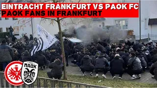 PAOK Fans In Frankfurt | Eintracht Frankfurt vs PAOK Fc | 30-11-2023