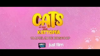 Cats op zoek naar Kattopia - Nu te huur en te koop op DVD!