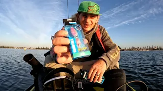 FISHING THE NOMAD SQUIDTREX(mini)