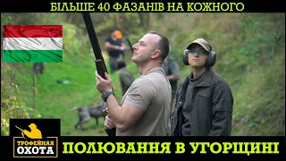 Більше 40 Фазанів на Кожного. Полювання в Угорщині. №42, ч.2 | Трофейне Полювання