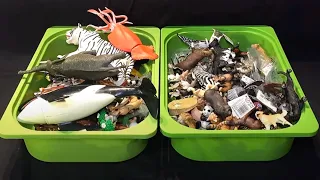 Boxes of Rare Sea Animals & Animals Figures