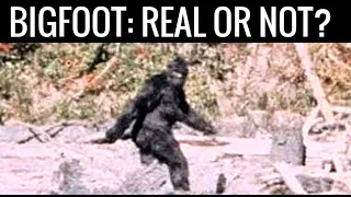 Is Bigfoot Real? Yes or No? A Complete Documentary