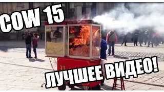 Лучшие Coub #15 (2016)