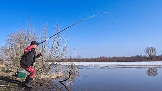 Закинул ПОПЛАВОК под КУСТ!!! РЫБАЛКА на УДОЧКУ ранней весной.