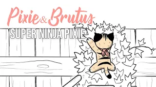 Super Ninja Skills | Pixie and Brutus Comic Dub