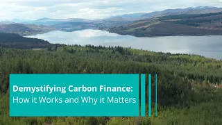 Carbon Credits: How they Work and Why they Matter