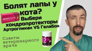 Хондропротекторы для кошек