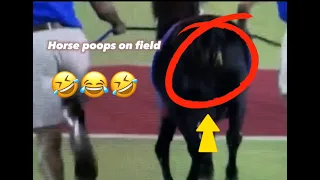 Craziest “Animal Interference” moments in College Football