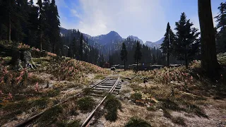 Far Cry 5 Graphics Showcase - 1440p, Real Life ReShade, Modded