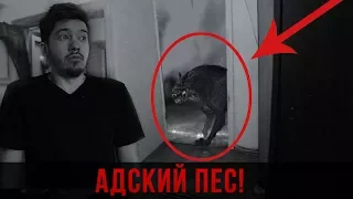 Вызов Духов - Адский пес / Он Пришел по Наши Души! Опасно!