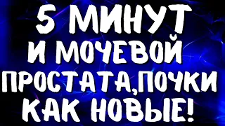 5 МИНУТ В ДЕНЬ И МОЧЕВОЙ ПУЗЫРЬ, ПРОСТАТА, ПОЧКИ КАК НОВЫЕ! СУПЕР ГИМНАСТИКА!