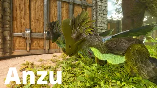 Nejlepší dinosaurus do jeskyně ( Anzu taming ) - Ark Survival Ascended CZ/SK