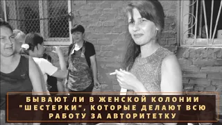 Есть ли шестерки на женской зоне и в чем плюсы и минусы этого статуса?