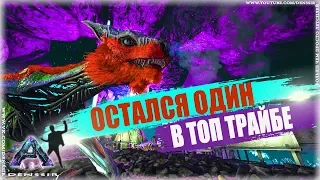 ARK SURVIVAL EVOLVED #4 | ОСТАЛСЯ ОДИН В ТОП ТРАЙБЕ В АРК | арк сурвайвал эволв