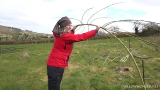 Planting a living willow Dome