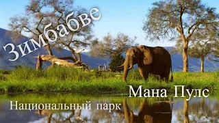 Mana Pools Safari / Путешествие в Мана Пулс