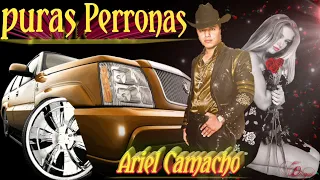 Puras perronasAriel Camacho♠️