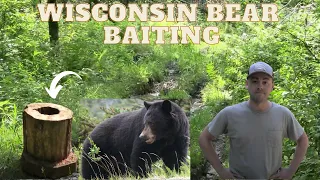 Bear Hunting | Wisconsin Bear Baiting 2021 | Jake's first time Bear Baiting