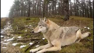 Mała EcoBlaBla