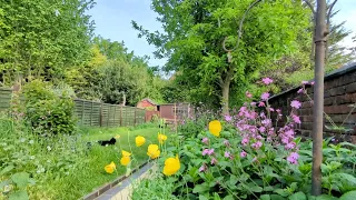 English Garden Time Lapse - Cat Shenanigans