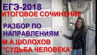 Итоговое сочинение 2017/18. Разбираем по направлениям произведение М. Шолохова "Судьба человека"