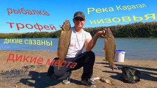 Каратал рыбалка низовья, мой трофей!