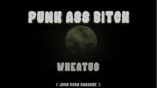 Punk Ass Bitch - Wheatus | Karaoke Instrumental • Solo Lyrics