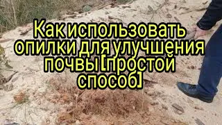 Как использовать опилки для улучшения почвы (простой способ)