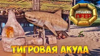 ДРУЖБА С ТИГРОВОЙ АКУЛОЙ И ПЕЧЬ ДЛЯ ГЛИНЫ - Stranded Deep #27