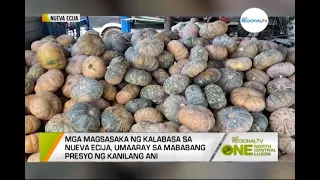 One North Central Luzon: Bagsak-Presyong Kalabasa