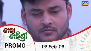 Tara Tarini | 19 Feb 19 | Promo | Odia Serial – TarangTV