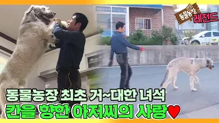 [TV 동물농장 레전드] ‘역대급 거대한 견공! 내겐 너무 버거운 녀석’ 풀버전 다시보기 I TV동물농장 (Animal Farm) | SBS Story