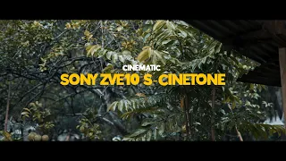 ULAN | SONY ZVE10 | S-CINETONE | CINEMATIC