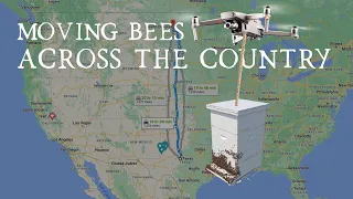 How Commercial Beekeepers Move Bees